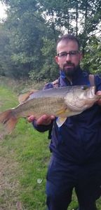Largemouth Bass