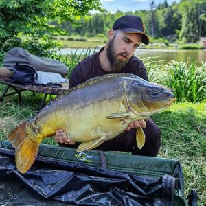 Mirror Carp