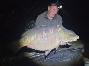 Mirror Carp