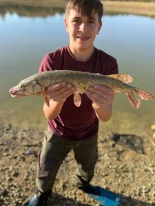 Northern Pike