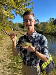 Smallmouth Bass