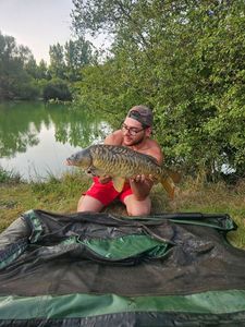 Mirror Carp
