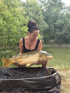 Mirror Carp
