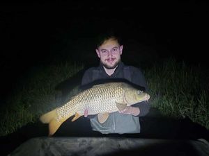 Common Carp