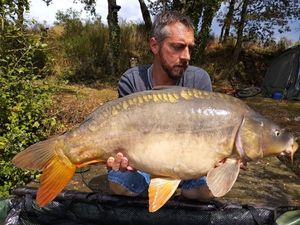 Mirror Carp