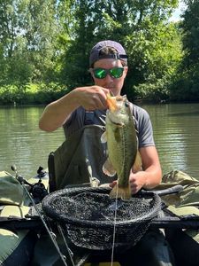 Largemouth Bass