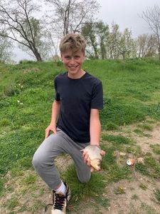 Crucian Carp