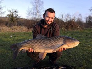 Grass Carp