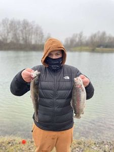 Rainbow Trout