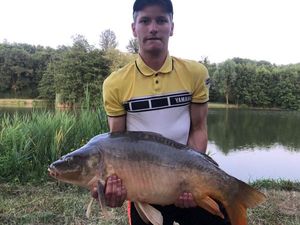 Mirror Carp