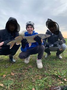 Northern Pike