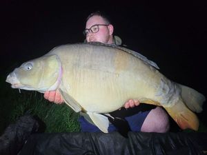 Mirror Carp