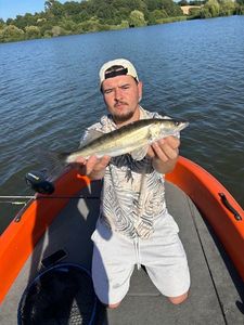 Zander