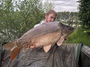 Mirror Carp