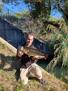 Largemouth Bass
