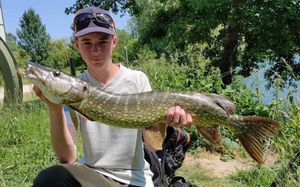 Northern Pike