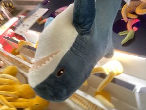 White Shark