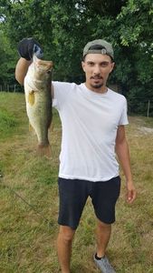 Largemouth Bass