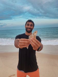 Spotted Seabass