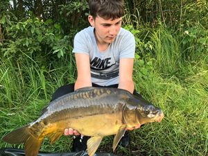 Mirror Carp