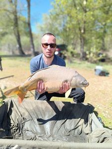 Mirror Carp