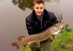 Northern Pike