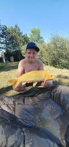 Koï Fish