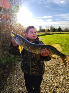 Northern Pike