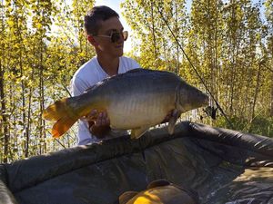 Leather Carp