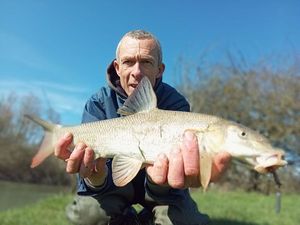 Barbel