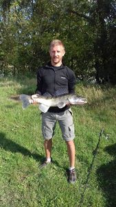 Zander