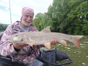 Barbel