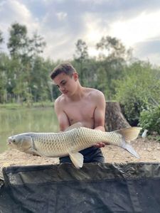 Grass Carp