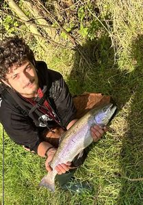 Rainbow Trout