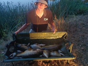 Mirror Carp