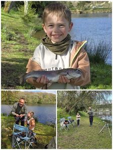 Rainbow Trout
