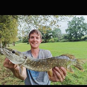 Northern Pike