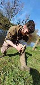 European Perch