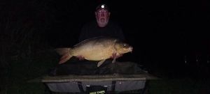 Mirror Carp