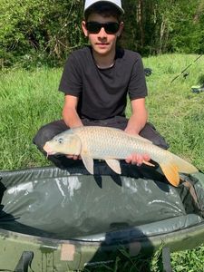 Koï Fish