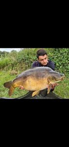 Leather Carp