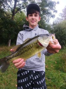 Largemouth Bass
