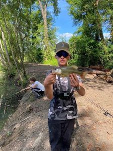 Largemouth Bass