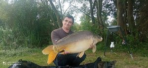 Mirror Carp