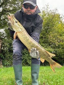 Northern Pike