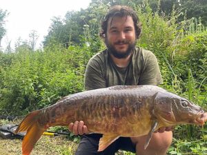 Common Carp