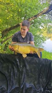 Mirror Carp