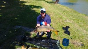 Mirror Carp