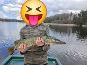 Northern Pike