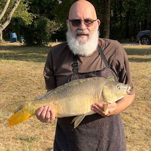 Mirror Carp